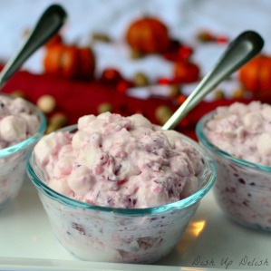 cranberry-marshmallow-salad-dish-up-delish